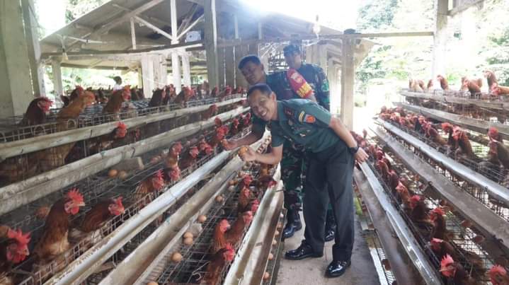 Menjadi Inspirasi, Babinsa Menjadi Peternak Ayam Petelur