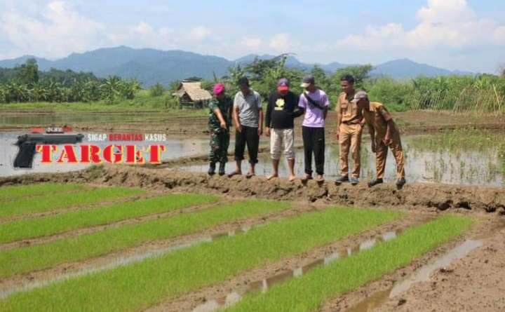 Screenshot_20240302-072230_WhatsApp