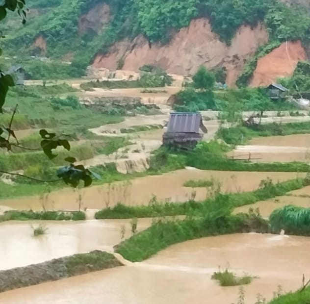 AKIBAT HUJAN DERAS SEJUMLAH SAWAH PENDUDUK DESA PENATANGAN HANCUR DAN TERANCAM GAGAL PRODUKSI