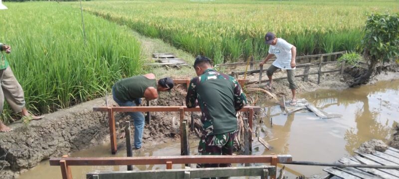 Babinsa Koramil 1002-06/Barabai Bersama Warga Perbaiki Jembatan Titian di Desa Bakapas