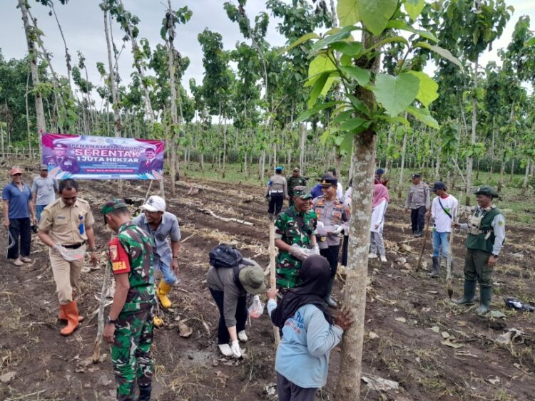 IMG-20250213-WA0117_copy_816x612