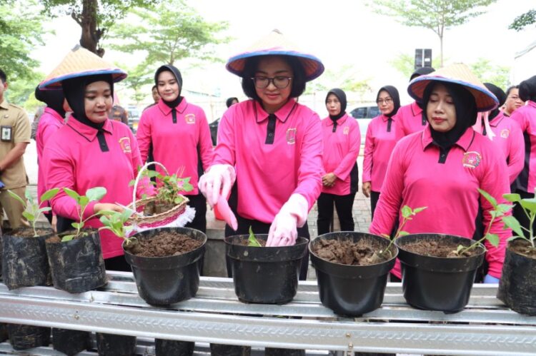 IMG-20250224-WA0084_copy_832x554