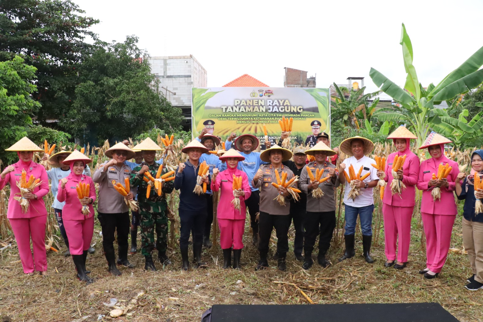 Polres Pelabuhan Tanjungperak bersama Poktan Panen Raya Jagung Tahap 7, Perkuat Ketahanan Pangan Nasional