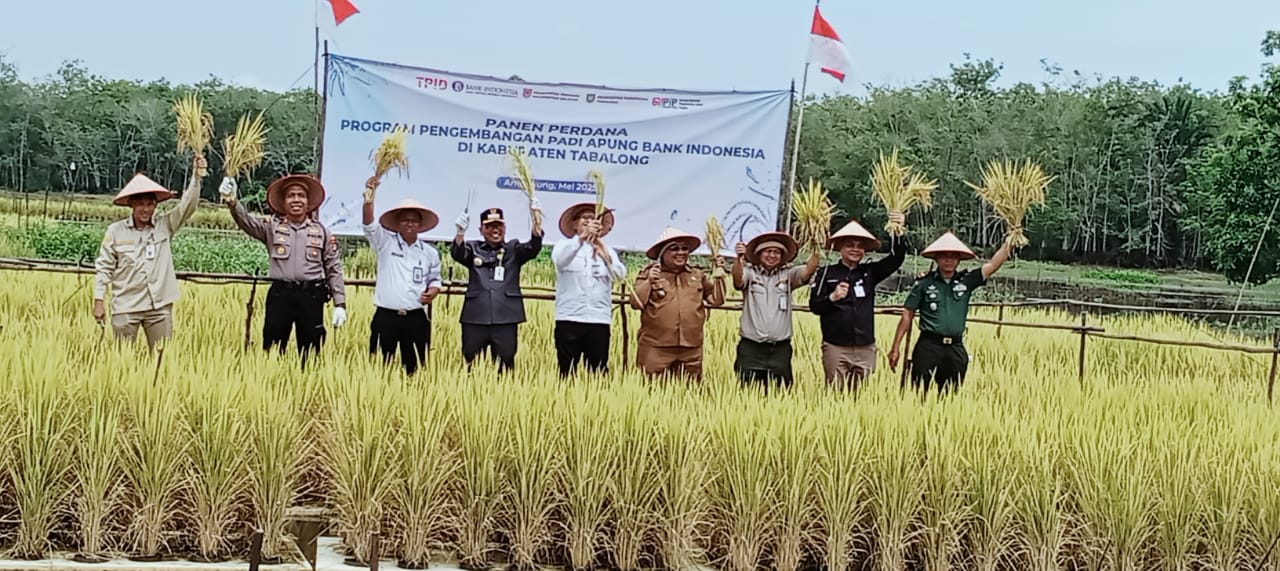 Panen Perdana Padi Apung, Danramil 1008-05/Kelua Dukung Inovasi Pertanian