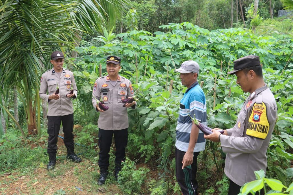 IMG-20250516-WA0012(1)