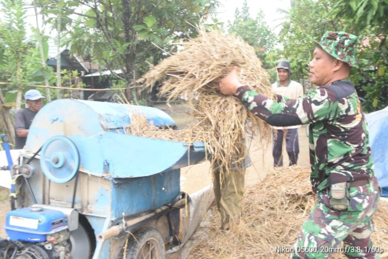 Tunjukkan Kepedulian, Anggota Satgas TMMD Bantu Warga Rontok Padi Sebelum Bekerja
Haruyan, Hulu Sungai