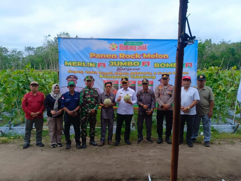 Danramil 1008-06/Banua Lawas-Pugaan Hadiri Syukuran Panen Melon di Pugaan