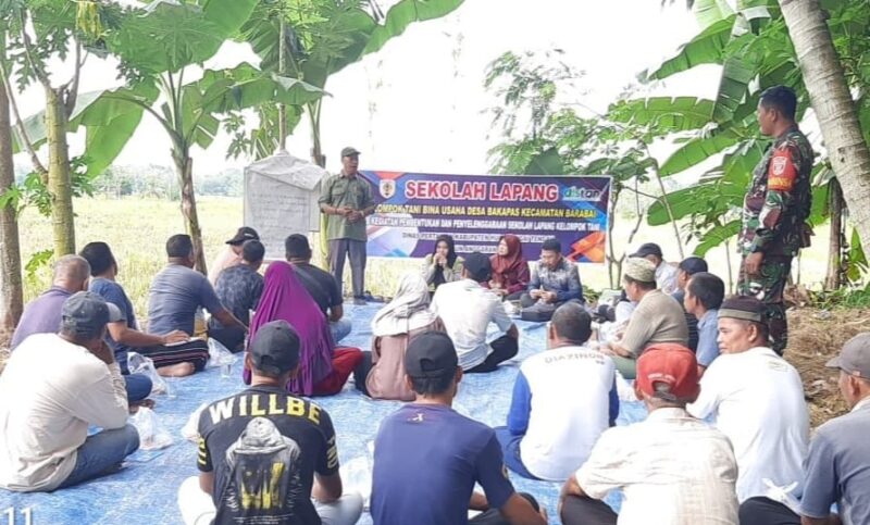 Babinsa Koramil 1002-06/Barabai Dampingi Sekolah Lapang Kelompok Tani di Desa Bakapas