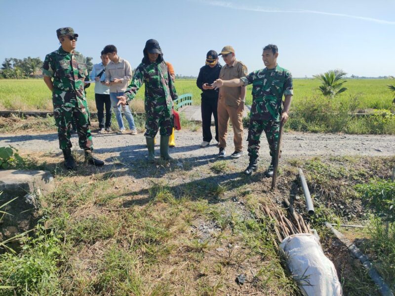 Dandim 1009/Tla Melaksanakan Peninjauan Awal Rencana Kegiatan Optimalisasi Lahan Di Kecamatan Bumi Makmur