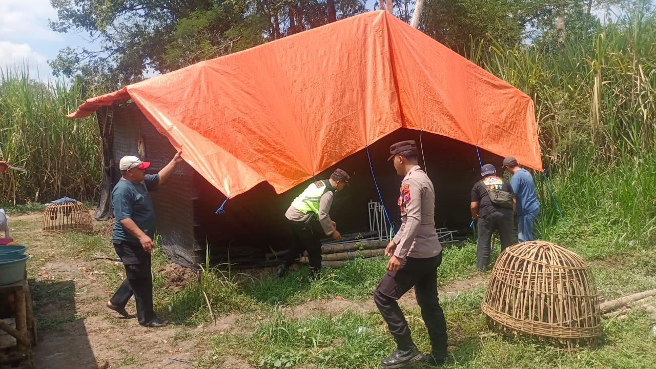 Polisi Bongkar Dua Lokasi Arena Judi Sabung Ayam di Malang