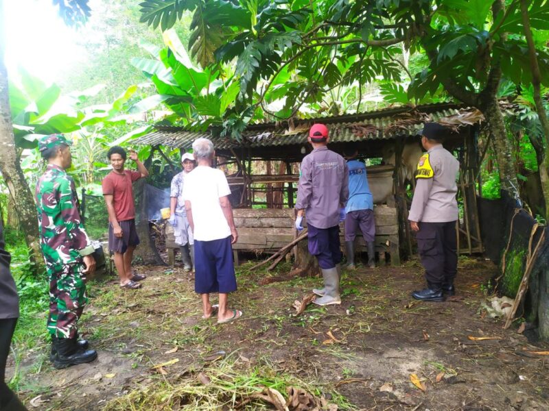 Cegah PMK Di Desa Binaan Serka Supriyanto Dampingi Petugas Melaksanakan Vaksinasi Hewan Ternak Sapi