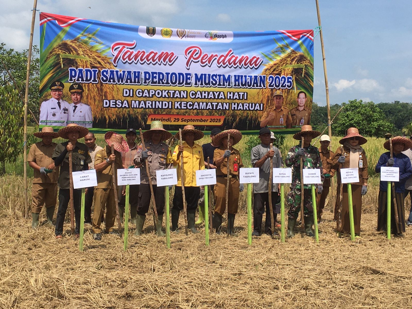 Babinsa Koramil 1008-02/Haruai Hadiri Panen Raya Dan Tanam Perdana Padi Sawah Di Desa Marindi