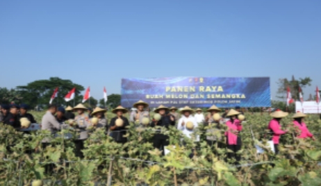 Brimob Polda Jatim Panen Melon dan Semangka, Dukung Program Ketahanan Pangan Nasional