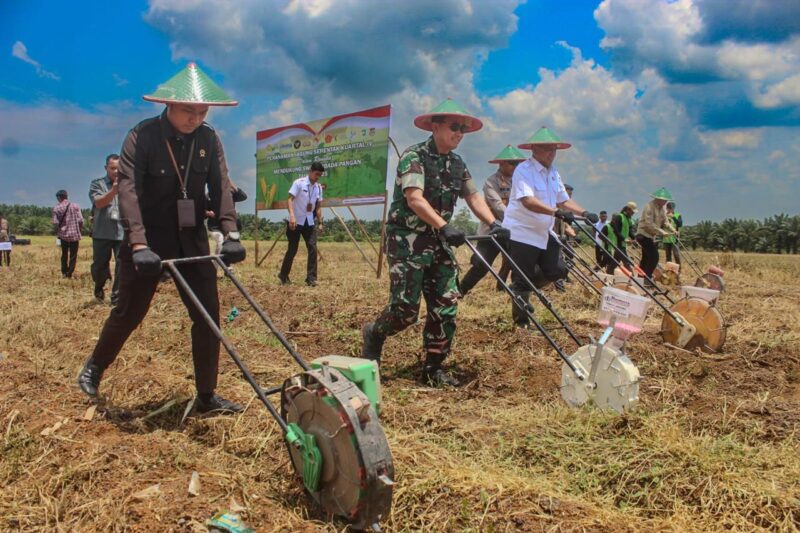 Dandim 1009/Tla Menghadiri Penanaman Jagung Serentak Kuartal IV Polres Tanah Laut