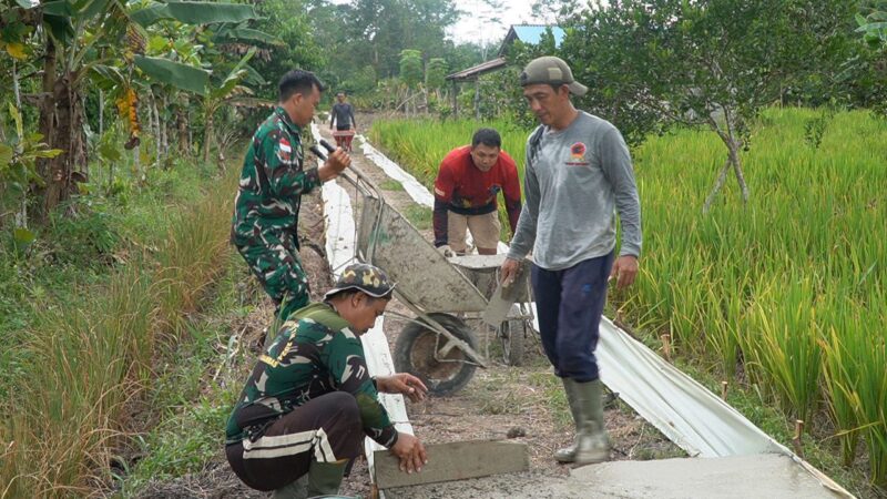 Satgas TMMD Regtas Ke 126/Kodim 1208/Sambas Gunakan Arko Untuk Angkut Adukan Semen Pada Pekerjaan Rabat Beton