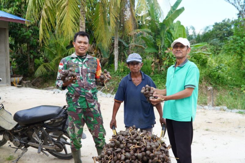 Senyum Bahagia Petani Jengkol, Jalan Diperbaiki Satgas TMMD ke-126 Kodim 1208/Sambas