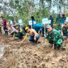 Koramil 08/Paloh Ikuti Penanaman Pohon Mangrove di Pesisir dalam Program Pemeliharaan Lingkungan Hidup
