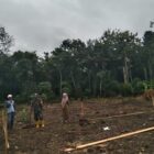 Babinsa Koramil 1008-01 Muara Uya-Jaro Dampingi Pembangunan Koperasi Desa Merah Putih di Garagata