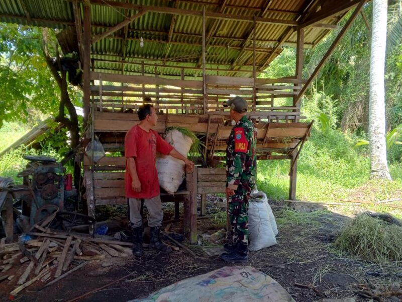 Melalui Komsos Babinsa Semperiuk A Beri Motivasi Dan Dukungan Kepada Peternak Kambing di Wilayah Binaan