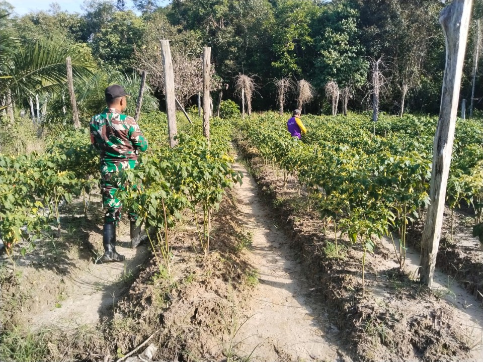 IMG-20251226-WA0033_copy_960x720