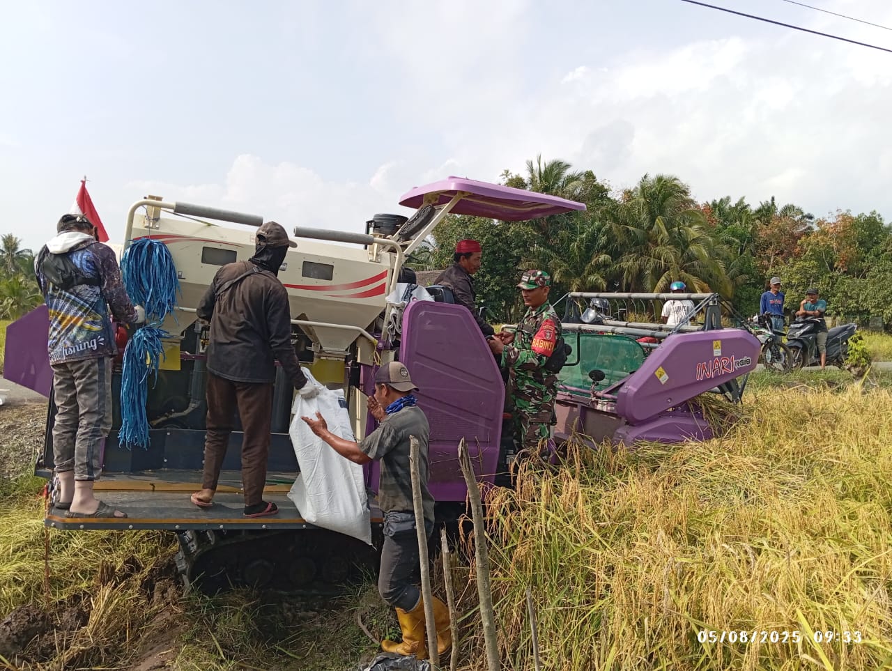 Panen Padi Bersama Petani, Babinsa Apresiasi Kinerja Petani dalam Mewujudkan Ketahanan Pangan