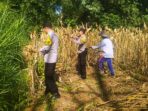 IMG-20260527-WA0237