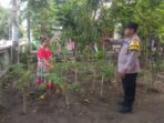 IMG-20260601-WA0588