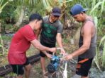 IMG-20260805-WA0029
