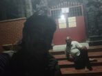 oplus_33