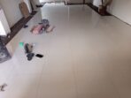 IMG-20261019-WA0382(1)